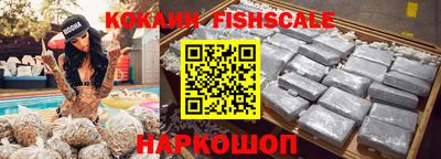 тгк Кингисепп