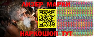 тгк Кингисепп