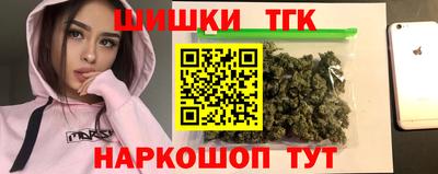 тгк Кингисепп
