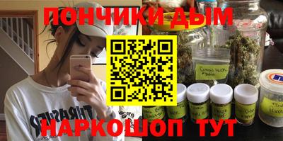 тгк Кингисепп