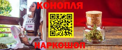 тгк Кингисепп