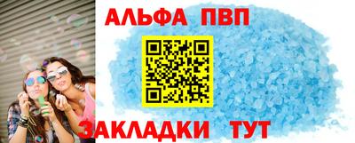 тгк Кингисепп