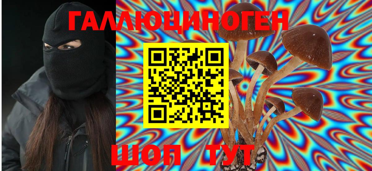 Псилоцибиновые грибы мухоморы  Вход с VPN  цена наркотик  Волхов 
